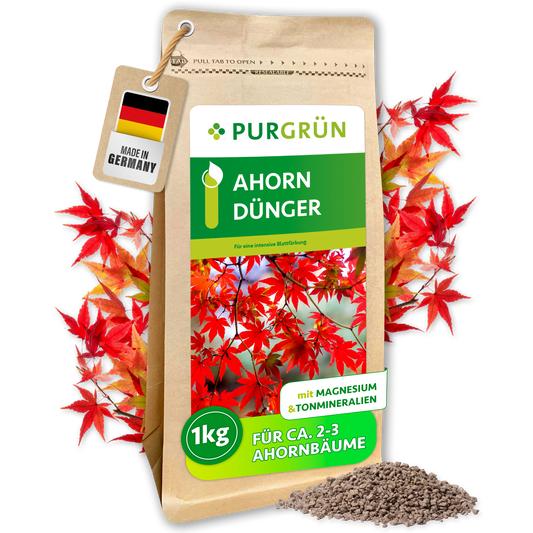 Purgrün Ahorn-Dünger im 1-kg-Beutel mit Magnesium und Tonmineralien, umgeben von roten Ahornblättern und Granulat.