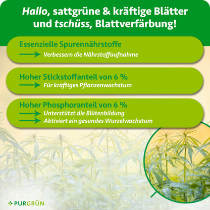Spurennährstoffe verbessern die Nährstoffaufnahme, 6 % Stickstoff fördern kräftiges Pflanzenwachstum und 6 % Phosphor unterstützen Blütenbildung und Wurzelwachstum.