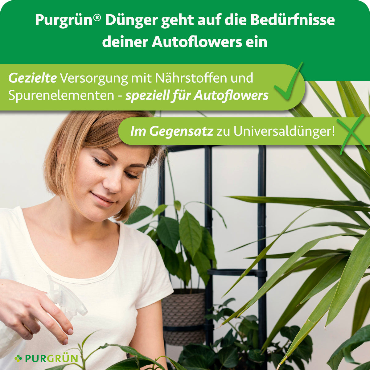 Eine Person pflegt grüne Zimmerpflanzen. Auf Deutsch wird das Purgrün Autoflower-Dünger-Set 2 x 1 Liter als ideale Lösung für Autoflowers beworben und die überlegene, gezielte Nährstoffversorgung gegenüber Universal-Düngern betont.