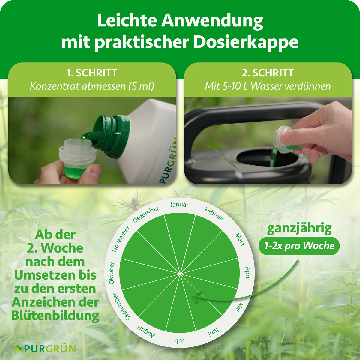 Anwendung: 5 ml Konzentrat abmessen und mit 5–10 Litern Wasser verdünnen. Ab der 2. Woche nach dem Umsetzen bis zu den ersten Anzeichen der Blütebildung ganzjährig 1–2-mal pro Woche anwenden.