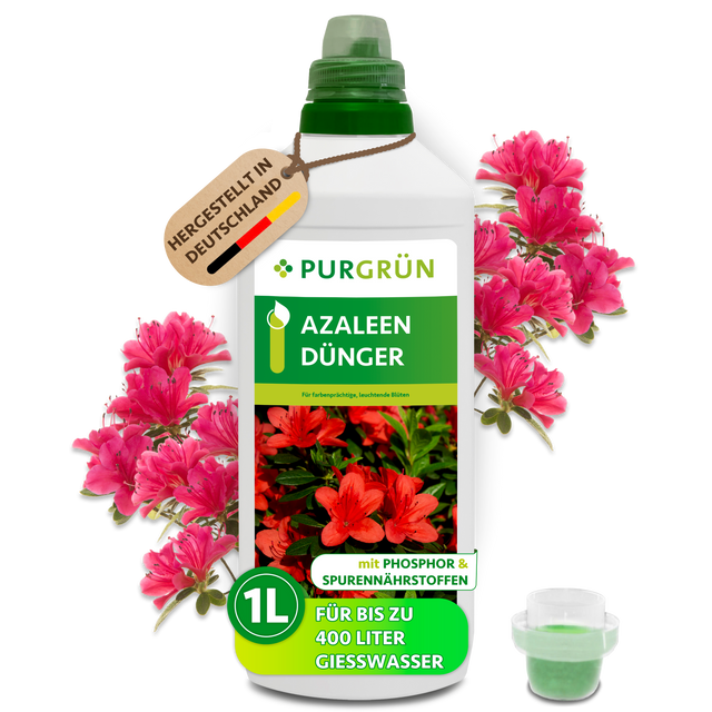 Purgrün Azaleen-Dünger im 1-Liter-Kanister mit Dosierkappe und pinken Azaleen; reicht für bis zu 400 Liter Gießwasser.