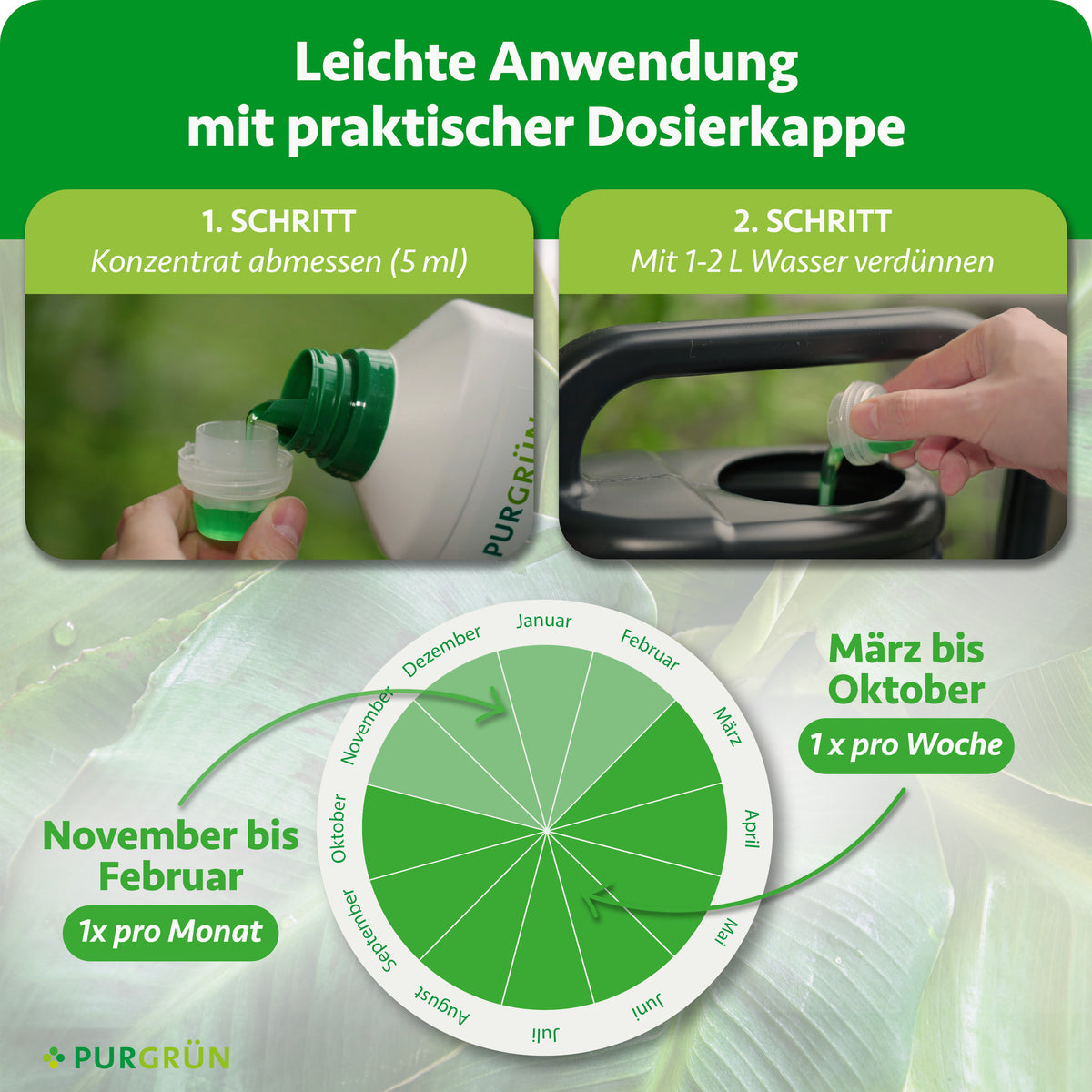 Anwendung: 5 ml Konzentrat mit 1–2 Litern Wasser verdünnen; März bis Oktober einmal pro Woche, November bis Februar einmal pro Monat.