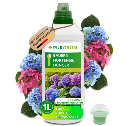 Purgrün Bauernhortensie-Dünger in der 1-Liter-Flasche mit Dosierkappe, umgeben von blauen und rosa Hortensienblüten.