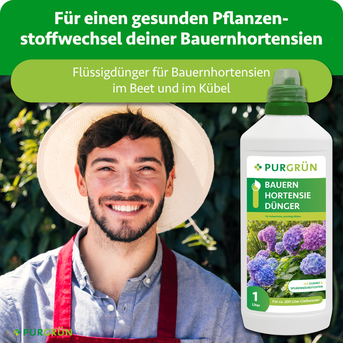 Flüssigdünger für Bauernhortensien im Beet und im Kübel zur Unterstützung eines gesunden Pflanzenstoffwechsels.