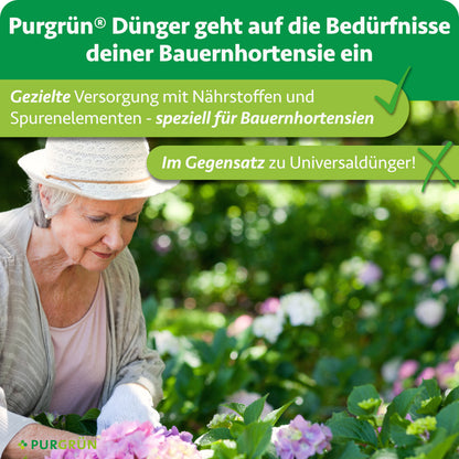Gezielte Versorgung mit Nährstoffen und Spurenelementen speziell für Bauernhortensien statt Universaldünger.