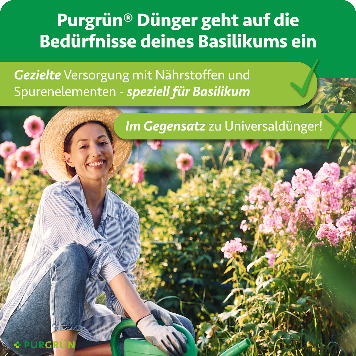 Purgrün Basilikum-Dünger versorgt Basilikum gezielt mit Nährstoffen und Spurenelementen und ist speziell auf dessen Bedürfnisse abgestimmt – im Gegensatz zu Universaldünger.