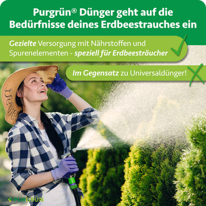 Purgrün-Dünger versorgt Erdbeersträucher gezielt mit Nährstoffen und Spurenelementen – im Gegensatz zu Universaldünger.
