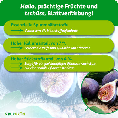 Essenzielle Spurennährstoffe verbessern die Nährstoffaufnahme; 7 % Kalium fördern Reife und Fruchtqualität, 4 % Stickstoff gleichmäßiges Wachstum und eine stabile Pflanzenstruktur.