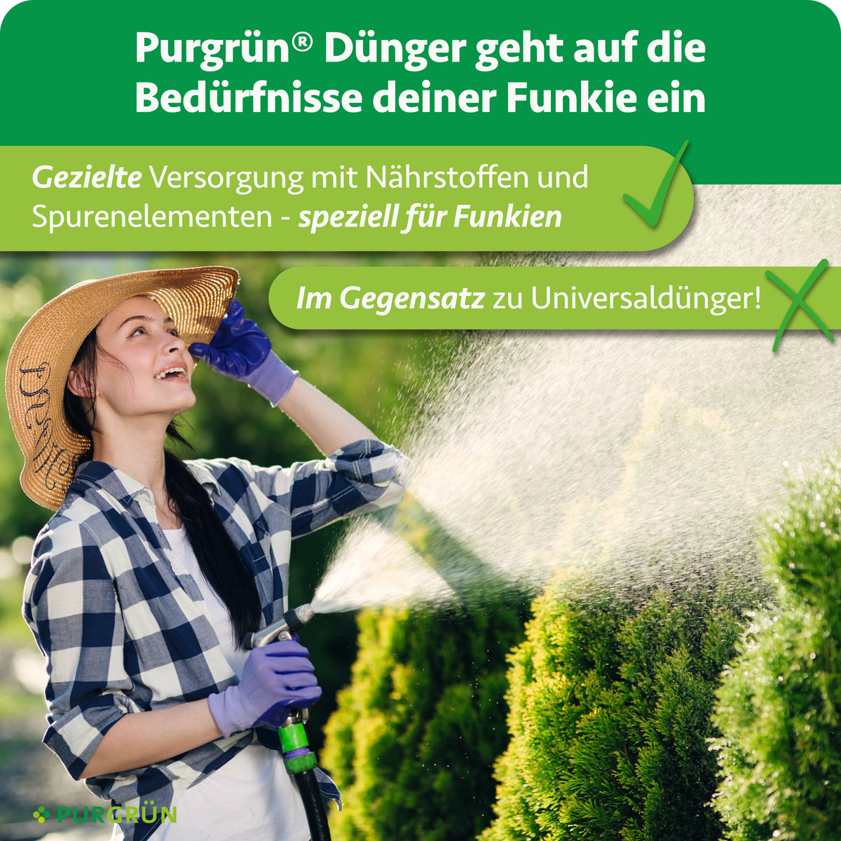 Gezielte Versorgung mit Nährstoffen und Spurenelementen speziell für Funkien, im Gegensatz zu Universaldünger.