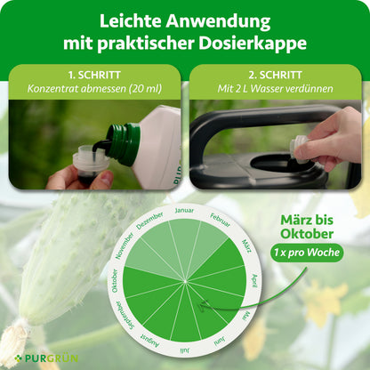 Anwendung: 20 ml Konzentrat mit 2 Litern Wasser verdünnen und von März bis Oktober einmal pro Woche düngen.