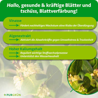 Vinasse fördert nachhaltiges Wachstum ohne Überdüngungsrisiko, Algenextrakt stärkt die Abwehrkräfte gegen Umweltstress und Trockenheit. Hoher Kaliumgehalt unterstützt Stoffwechsel und Wasserhaushalt.