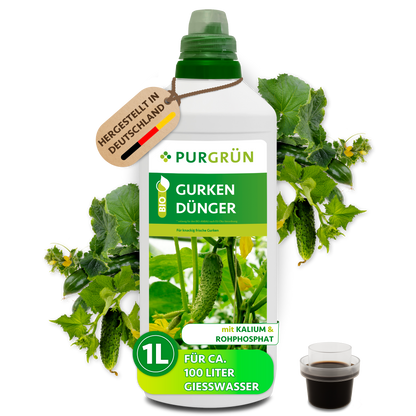 Purgrün Bio-Gurkendünger, 1-Liter-Flasche für ca. 100 Liter Gießwasser, mit Dosierkappe und Gurkenpflanzen.