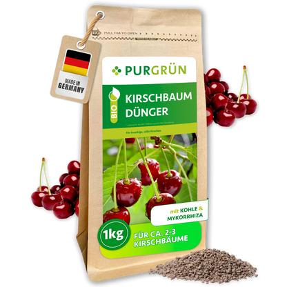 Purgrün Bio-Kirschbaum-Dünger, 1 kg, im Papierbeutel mit sichtbarem Granulat, Kirschen sowie Hinweis auf Pflanzenkohle und Mykorrhiza.