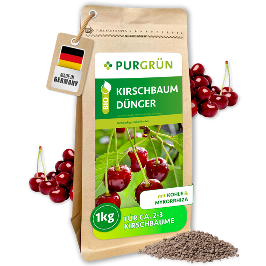 Purgrün Bio-Kirschbaum-Dünger, 1 kg, im Papierbeutel mit sichtbarem Granulat, Kirschen sowie Hinweis auf Pflanzenkohle und Mykorrhiza.