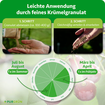 100–400 g Granulat abmessen, gleichmäßig verteilen und einarbeiten; einmal von März bis April und einmal von Juli bis August düngen.
