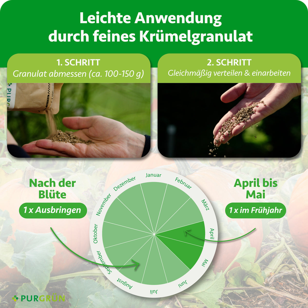 Ca. 100–150 g Granulat abmessen, gleichmäßig verteilen und einarbeiten. Einmal von April bis Mai und einmal nach der Blüte ausbringen.