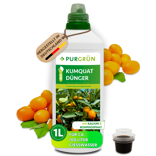 Purgrün Bio-Kumquat-Dünger in der 1-Liter-Flasche mit Dosierkappe; das Konzentrat reicht für ca. 100 Liter Gießwasser.