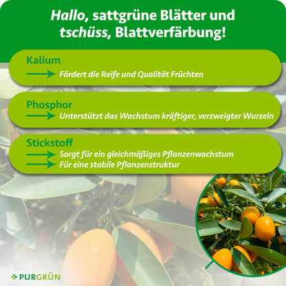 Kalium fördert Reife und Fruchtqualität, Phosphor kräftige, verzweigte Wurzeln und Stickstoff gleichmäßiges Wachstum sowie eine stabile Pflanzenstruktur.