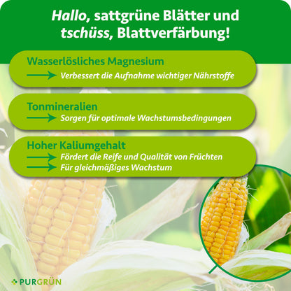 Wasserlösliches Magnesium verbessert die Nährstoffaufnahme, Tonmineralien schaffen optimale Wachstumsbedingungen. Hoher Kaliumgehalt fördert Reife, Fruchtqualität und gleichmäßiges Wachstum.