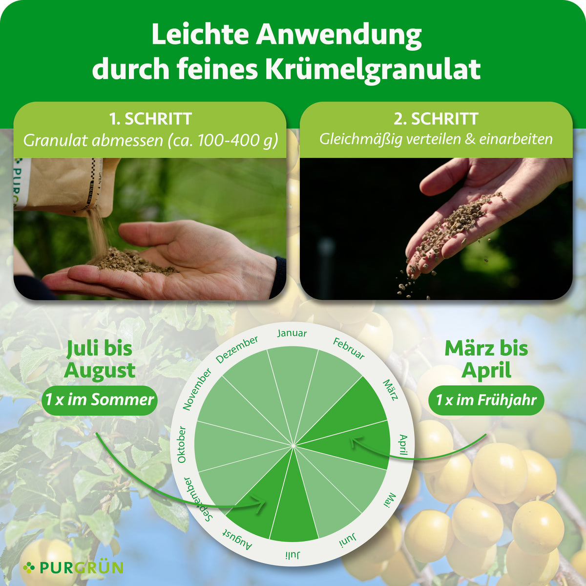 Anwendung: ca. 100–400 g Granulat abmessen, gleichmäßig verteilen und einarbeiten. Je einmal von März bis April und von Juli bis August düngen.