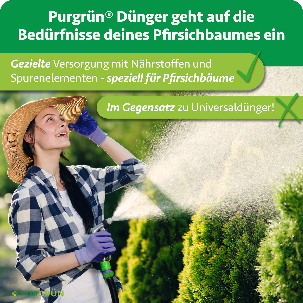 Der Dünger versorgt Pfirsichbäume gezielt mit Nährstoffen und Spurenelementen und wird als speziellere Alternative zu Universaldünger dargestellt.