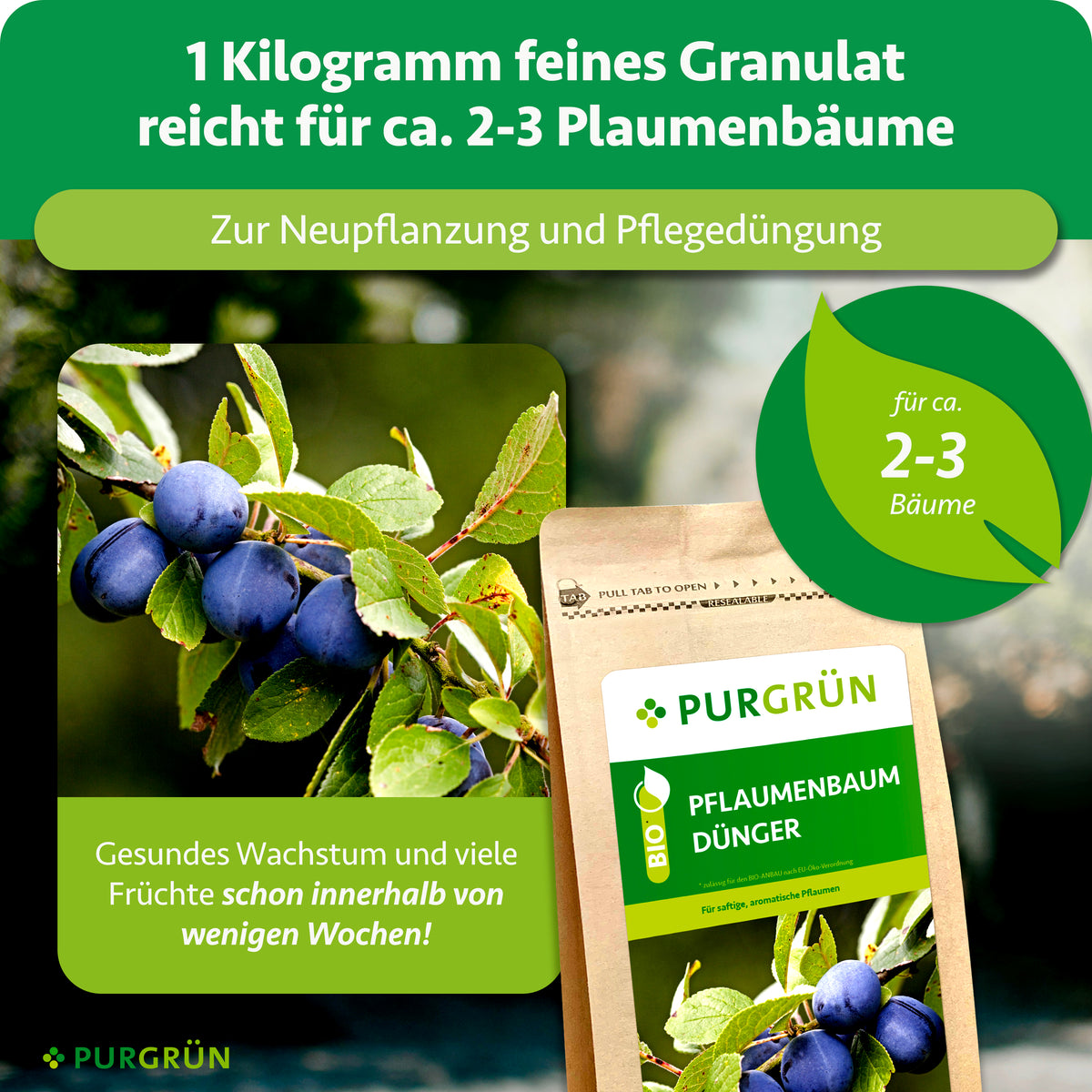 1 kg feines Granulat reicht für ca. 2–3 Pflaumenbäume und eignet sich zur Neupflanzung sowie Pflegedüngung.