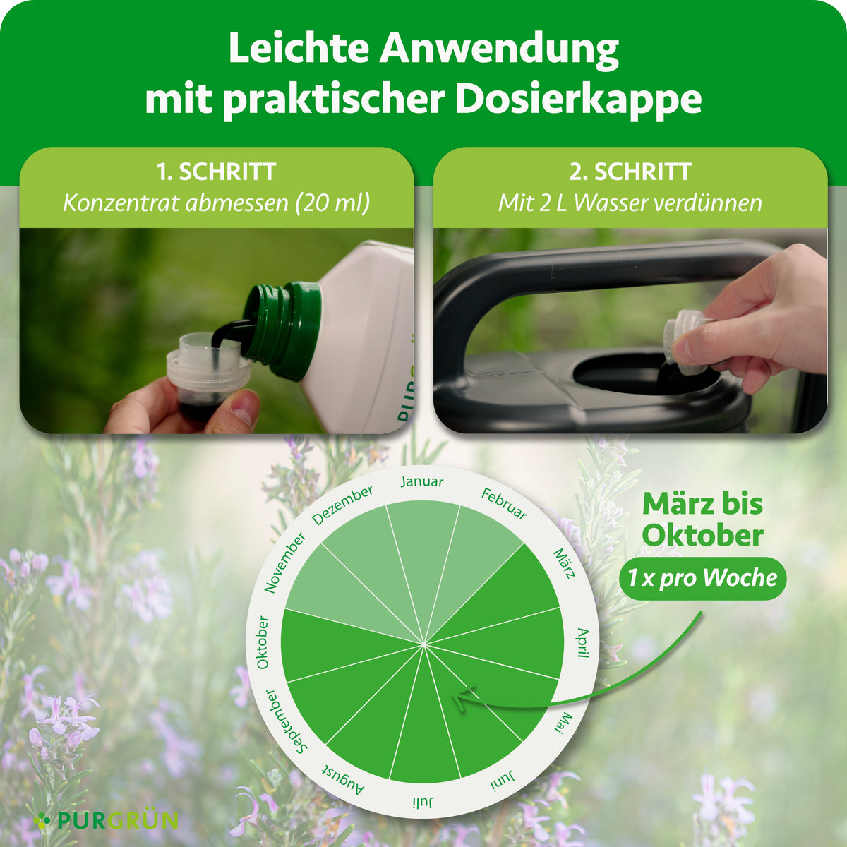 Anwendung: 20 ml Konzentrat abmessen und mit 2 l Wasser verdünnen; von März bis Oktober 1× pro Woche düngen.
