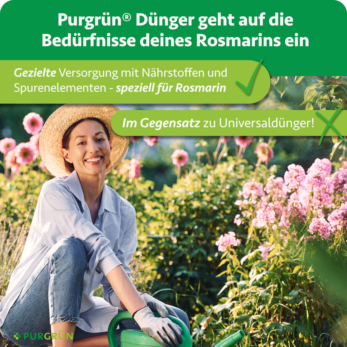 Purgrün-Dünger versorgt Rosmarin gezielt mit Nährstoffen und Spurenelementen und ist speziell für Rosmarin statt als Universaldünger ausgelegt.