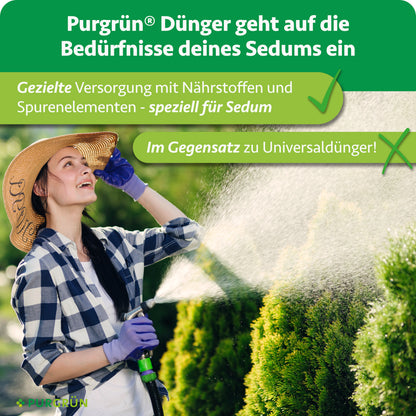 Gezielte Versorgung mit Nährstoffen und Spurenelementen speziell für Sedum statt Universaldünger.