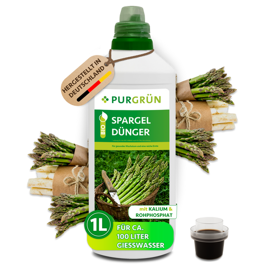 Purgrün Bio-Spargeldünger in der 1-Liter-Flasche mit Dosierkappe, umgeben von grünem und weißem Spargel; reicht für ca. 100 Liter Gießwasser.