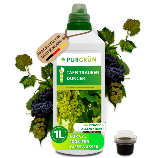 Purgrün Bio-Tafeltrauben-Dünger in der 1-Liter-Flasche, umrahmt von Trauben; reicht für ca. 100 Liter Gießwasser.