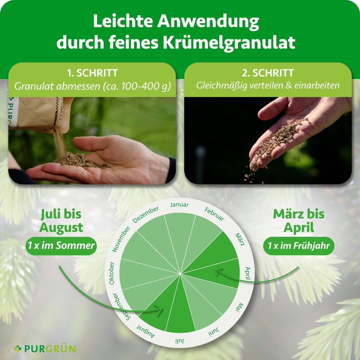 Ca. 100–400 g Granulat abmessen, gleichmäßig verteilen und einarbeiten. Je einmal von März bis April und von Juli bis August düngen.