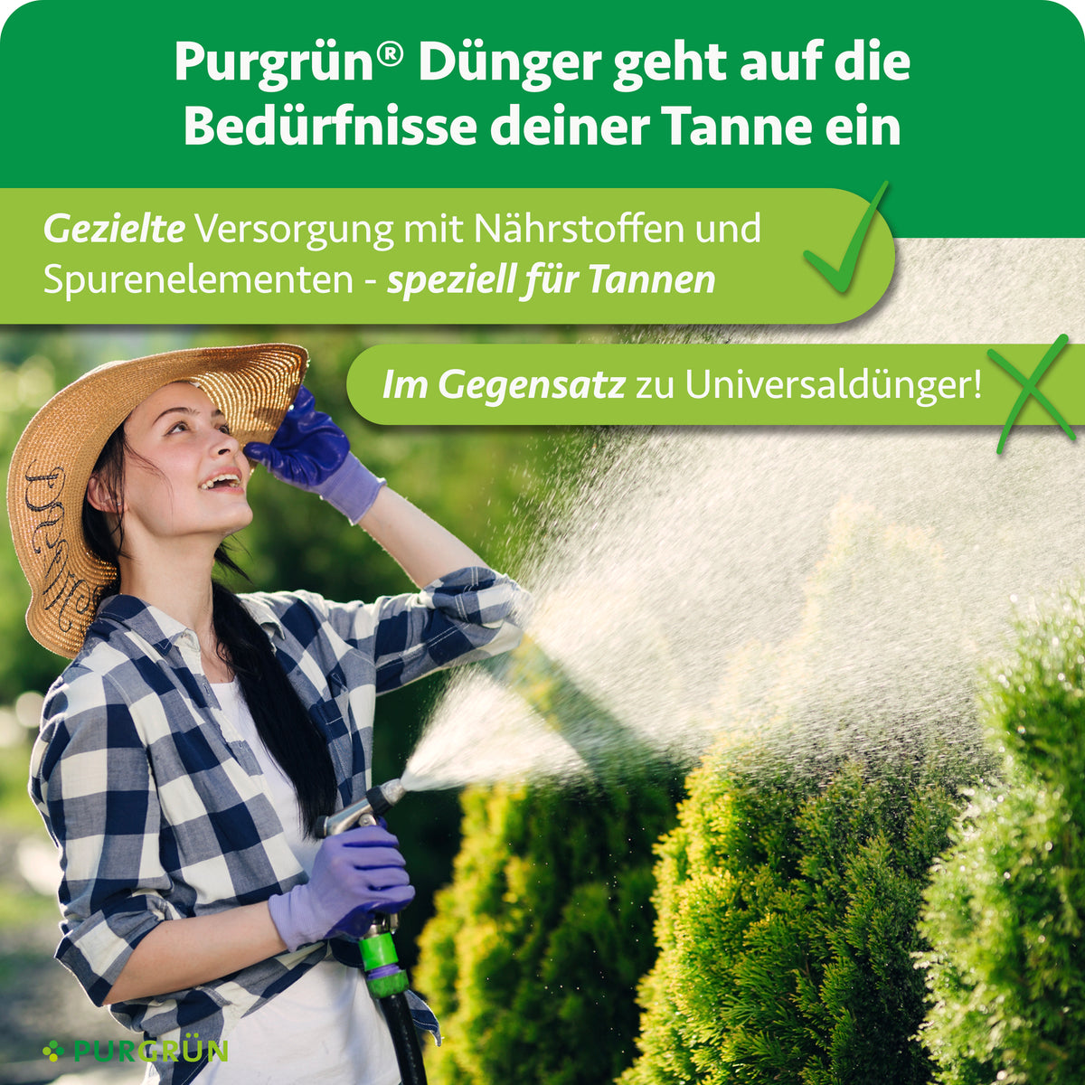 Purgrün Tannendünger versorgt Tannen gezielt mit Nährstoffen und Spurenelementen und ist speziell auf ihre Bedürfnisse abgestimmt – im Gegensatz zu Universaldünger.