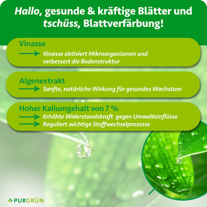 Vinasse aktiviert Mikroorganismen und verbessert die Bodenstruktur; Algenextrakt unterstützt gesundes Wachstum. 7 % Kalium sollen die Widerstandskraft erhöhen und wichtige Stoffwechselprozesse regulieren.