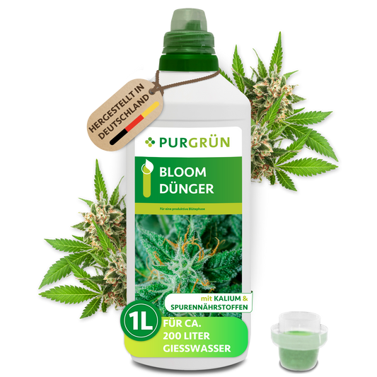 Eine Flasche Purgrün Cannabis Bloom-Dünger 1 Liter mit Cannabisblättern und -blüten im Hintergrund, einem Messbecher davor und einem Etikett mit der Aufschrift „Hergestellt in Deutschland“ mit Mikronährstoffen für 1 l/200 l Wasser.