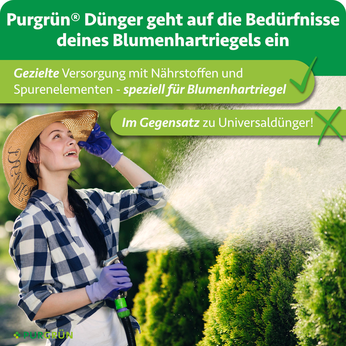 Speziell für Blumenhartriegel abgestimmte Versorgung mit Nährstoffen und Spurenelementen statt Universaldünger.