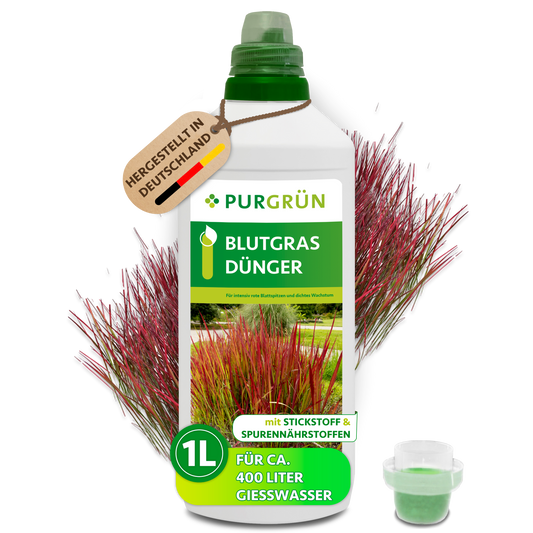 Purgrün Blutgras-Dünger im 1-Liter-Kanister mit Dosierkappe vor rotem Blutgras; laut Etikett für ca. 400 Liter Gießwasser.