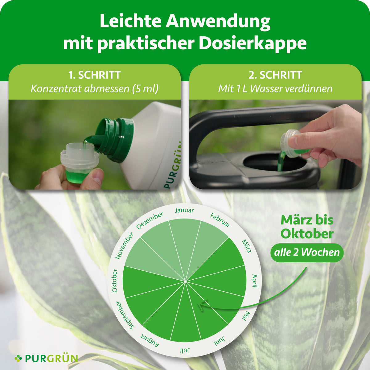 Anwendung: 5 ml Konzentrat abmessen, mit 1 Liter Wasser verdünnen und von März bis Oktober alle 2 Wochen düngen.