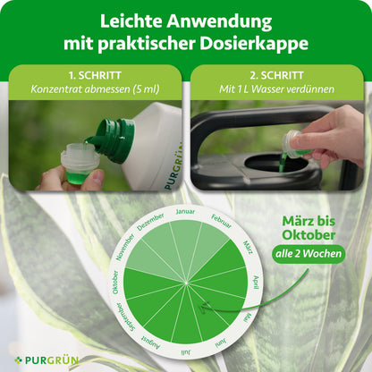 Anwendung: 5 ml Konzentrat abmessen, mit 1 Liter Wasser verdünnen und von März bis Oktober alle 2 Wochen düngen.