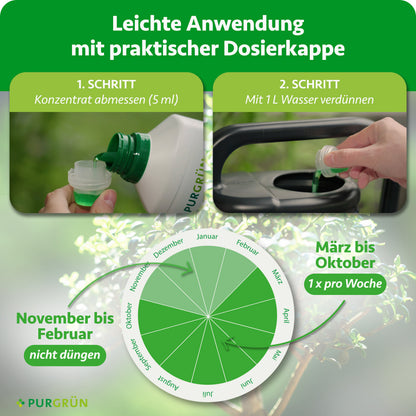 5 ml Konzentrat abmessen und mit 1 Liter Wasser verdünnen; von März bis Oktober 1-mal pro Woche düngen, von November bis Februar nicht düngen.