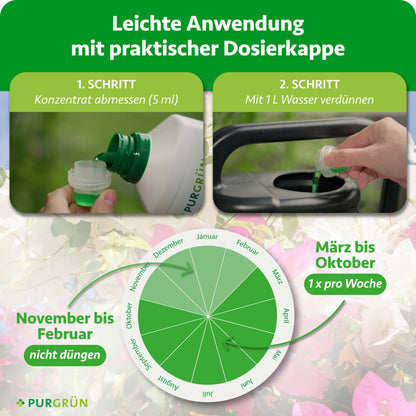 5 ml Konzentrat abmessen und mit 1 Liter Wasser verdünnen. Von März bis Oktober einmal pro Woche düngen, von November bis Februar nicht düngen.
