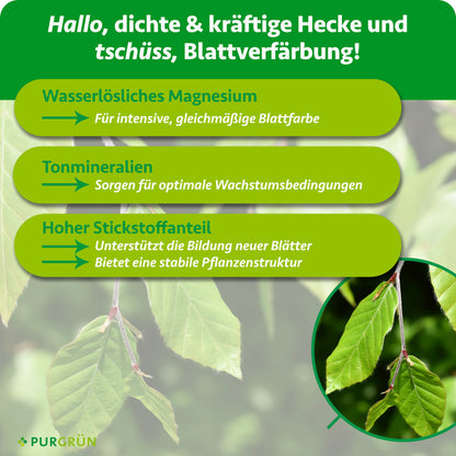 Wasserlösliches Magnesium fördert intensive, gleichmäßige Blattfarbe; Tonmineralien schaffen optimale Wachstumsbedingungen; hoher Stickstoffanteil unterstützt neue Blätter und eine stabile Pflanzenstruktur.