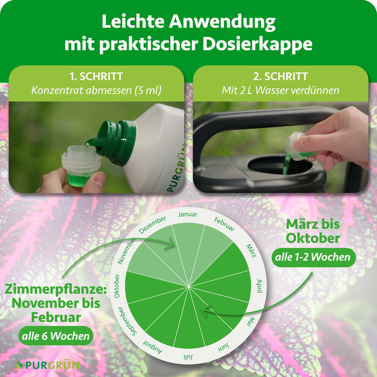 Anwendung: 5 ml Konzentrat mit 2 Litern Wasser verdünnen; von März bis Oktober alle 1–2 Wochen, bei Zimmerpflanzen von November bis Februar alle 6 Wochen anwenden.