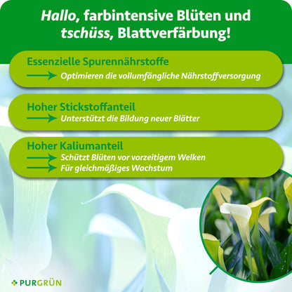 Essenzielle Spurennährstoffe optimieren die Nährstoffversorgung, ein hoher Stickstoffanteil unterstützt die Bildung neuer Blätter. Ein hoher Kaliumanteil schützt Blüten vor vorzeitigem Welken und fördert gleichmäßiges Wachstum.