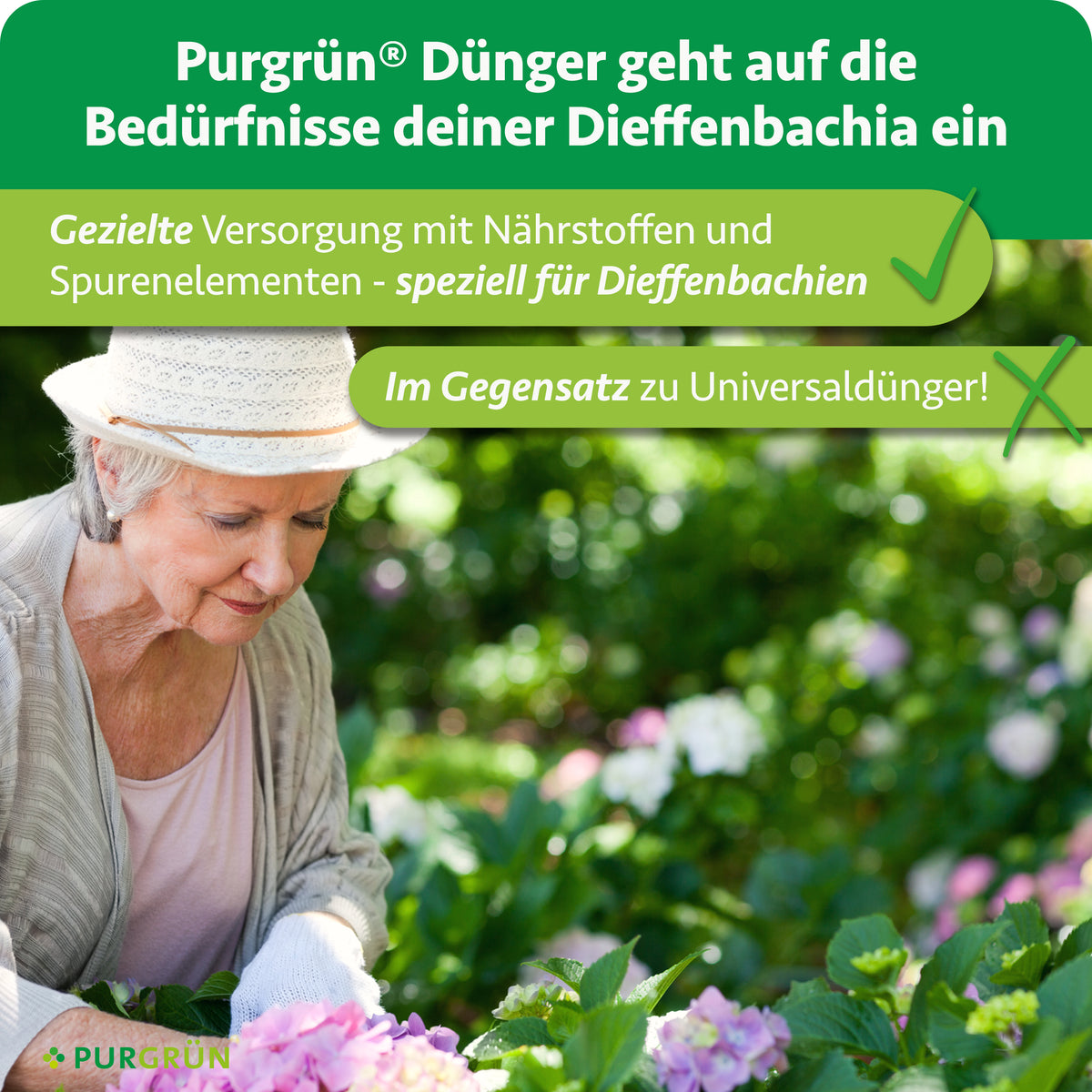 Gezielte Versorgung mit Nährstoffen und Spurenelementen speziell für Dieffenbachien, im Gegensatz zu Universaldünger.