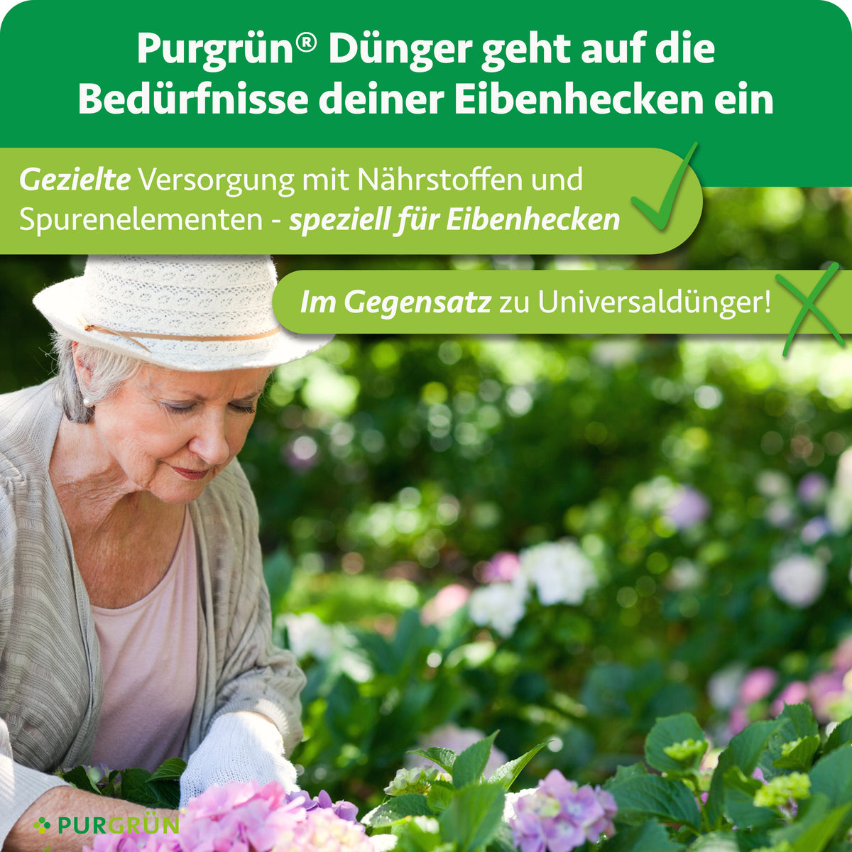 Der Purgrün Dünger ist speziell auf Eibenhecken abgestimmt und versorgt sie gezielt mit Nährstoffen und Spurenelementen – im Gegensatz zu Universaldünger.
