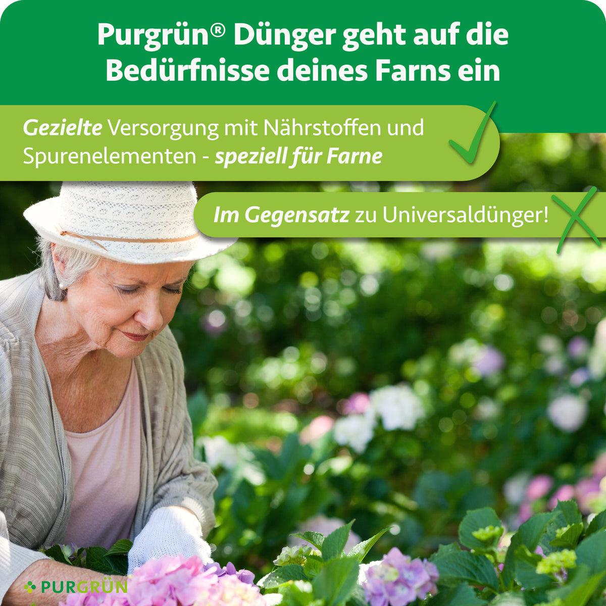 Gezielte Versorgung von Farnen mit Nährstoffen und Spurenelementen im Gegensatz zu Universaldünger; darunter eine Frau bei der Gartenarbeit.