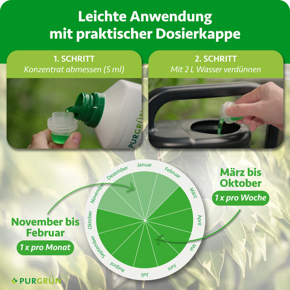 5 ml Konzentrat abmessen und mit 2 L Wasser verdünnen. März bis Oktober einmal pro Woche, November bis Februar einmal pro Monat anwenden.