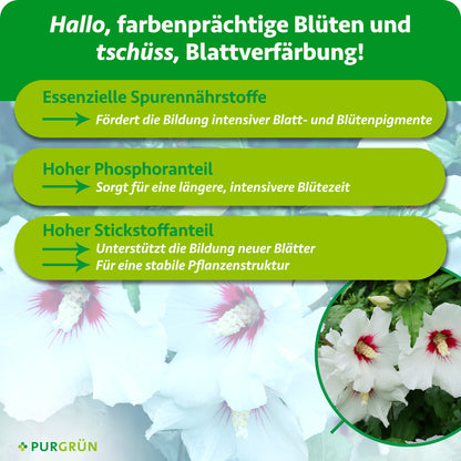Essenzielle Spurennährstoffe fördern intensive Blatt- und Blütenpigmente; ein hoher Phosphoranteil unterstützt eine längere, intensivere Blütezeit. Stickstoff fördert neue Blätter und eine stabile Pflanzenstruktur.