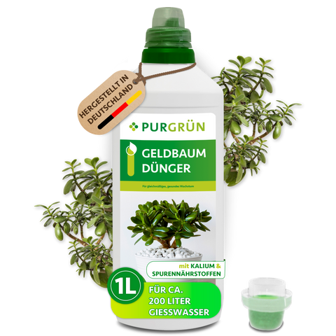 Geldbaum-Dünger 1 Liter
